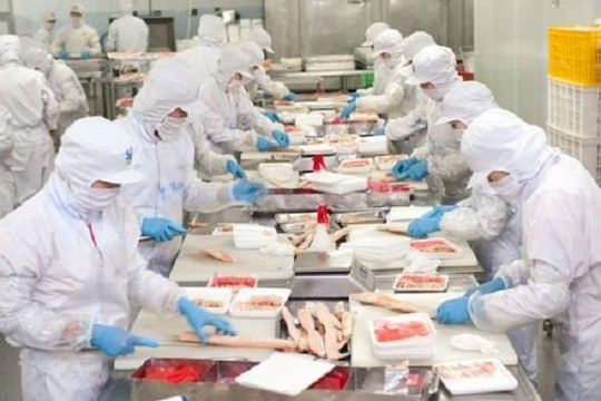 Các doanh nghiệp chế biến thực phẩm ‘cầu cứu’ Chính phủ về chuyện muối I-ốt