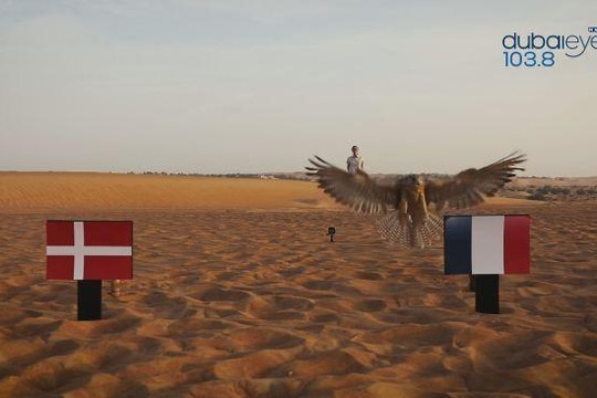 Chim cắt Farah dự đoán Pháp đánh bại Đan Mạch
