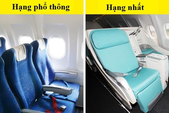 Vì sao các hãng hàng không chọn ghế máy bay màu xanh chứ không phải màu đỏ?
