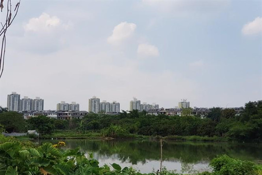 Những quyết định thần tốc 'giúp Ecopark đánh úp' nông dân Văn Giang