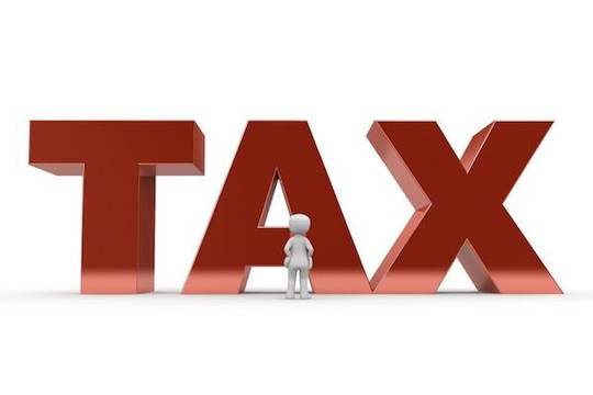 TP.HCM: 1.258 doanh nghiệp đang nợ hơn 1.550 tỉ đồng thuế 
