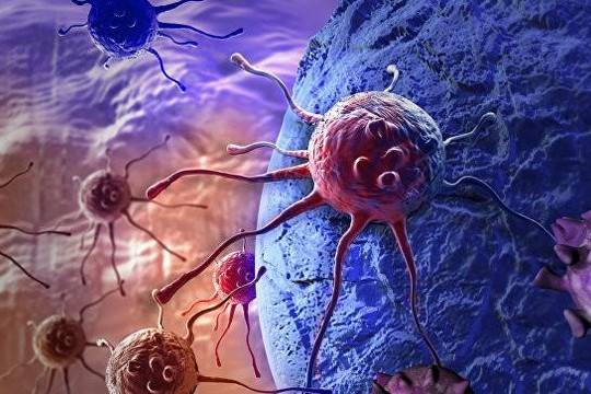 Úc phát triển thuốc mới ru ngủ tế bào ung thư