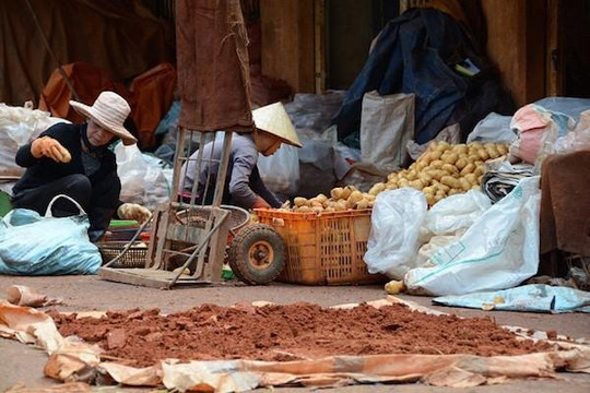 Công khai 17 cơ sở kinh doanh nông sản Trung Quốc ở Đà Lạt 