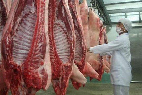 Việt Nam tạm dừng nhập khẩu thịt lợn từ Ba Lan và Hungary