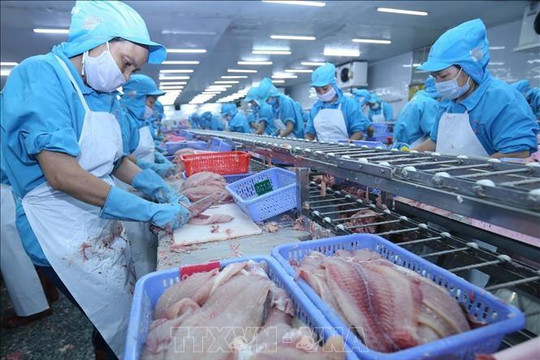 Hoa Kỳ giảm thuế chống bán phá giá cá tra và basa của Việt Nam