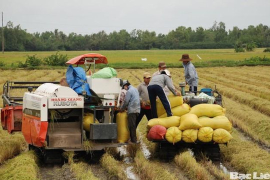 Chính phủ Việt Nam tặng Cuba 5.000 tấn gạo