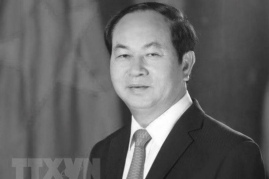Ông Nguyễn Quốc Triệu: Chủ tịch nước Trần Đại Quang qua đời vì virus hiếm gặp
