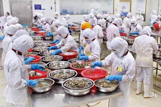 Vụ EU phạt thẻ vàng hải sản Việt Nam: Khó ‘tẩy’ thẻ