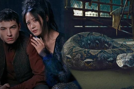 J.K Rowling lần đầu lý giải nguồn gốc của con rắn Nagini trong 'Harry Potter'