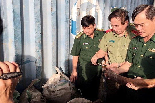 Lại phát hiện 10 tấn ngà voi, vảy tê tê nhập lậu qua Đà Nẵng