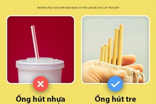 5 việc đơn giản ai cũng có thể làm để bảo vệ môi trường sống