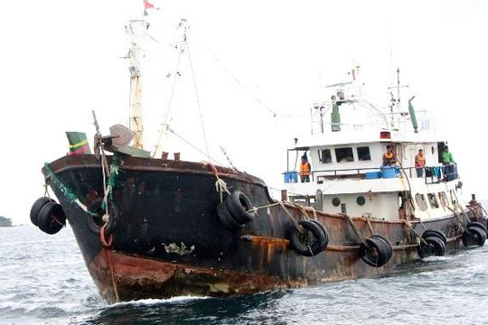 Kiên Giang: Bắt 3 tàu chở trái phép 250.000 lít dầu