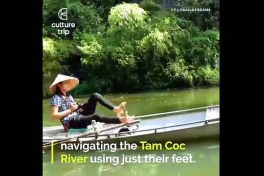 Chèo thuyền bằng chân ở Tam Cốc, Ninh Bình khiến du khách Tây thích thú 