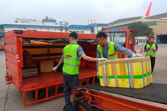 Sa thải 2 nhân viên bốc xếp ở sân bay Tân Sơn Nhất