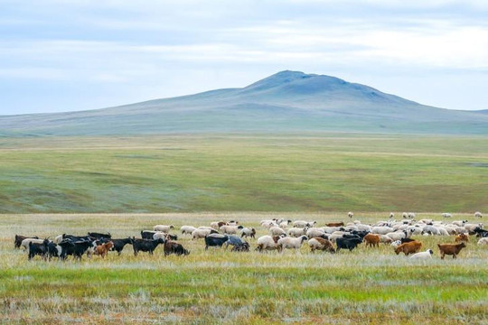 Mông Cổ, bản hùng ca của thảo nguyên bất tận