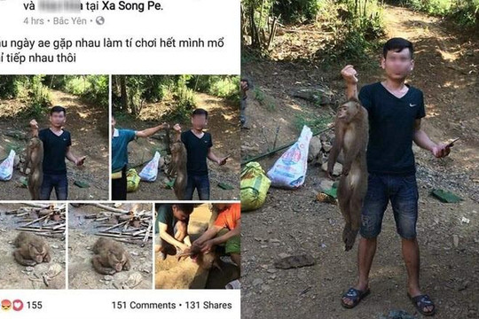 Thanh niên Sơn La giết và lấy máu khỉ còn khoe trên Facebook gây bức xúc