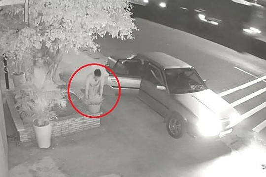 Người đàn ông lái ô tô đi trộm 4 chậu cây cảnh trong đêm