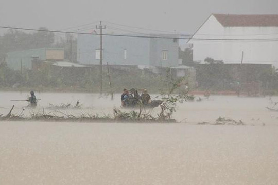 Nước lũ ở Bình Định bất ngờ cao chưa từng có trong 20 năm