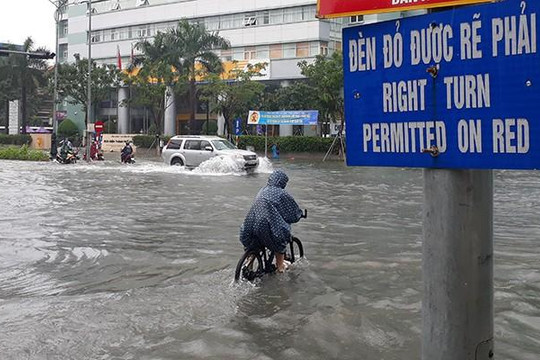 HĐND TP.Đà Nẵng hoãn họp vì mưa lũ