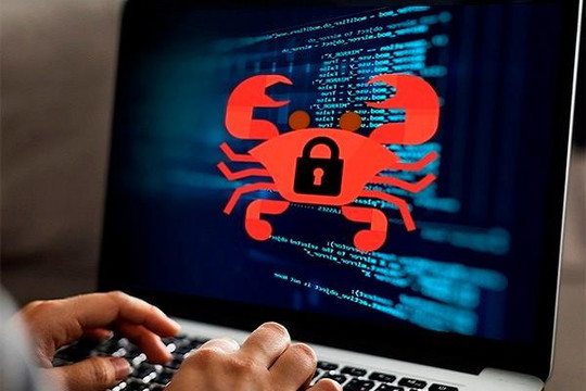 Mã độc 'khóa dữ liệu' để tống tiền đang tấn công người dùng Internet ở Việt Nam
