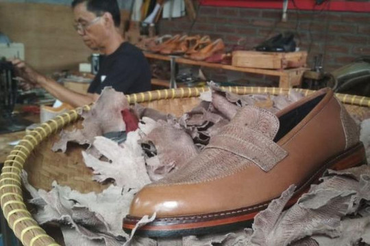Thợ giày ở Bandung, Indonesia đóng giày bằng da chân gà