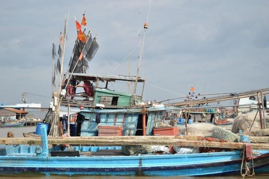 Cà Mau: Một tàu cá bị Hải quân Thái Lan bắt giữ