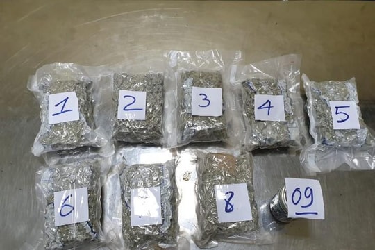 Hải quan TP.HCM bắt giữ lô ma túy hơn 2kg