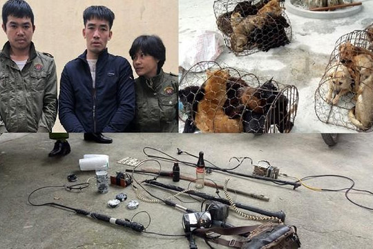Nghệ An: Bắt nhóm trộm chó sử dụng ô tô và ‘bom’ xăng