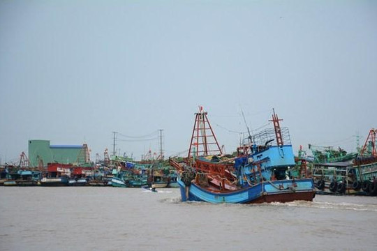 Cà Mau: Xác minh 3 tàu cá bị Hải quân Thái Lan bắt khi đang tránh bão