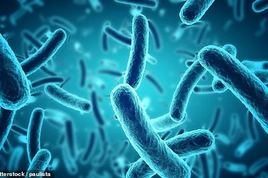 Trung Quốc phát hiện 2 loài vi khuẩn kháng kháng sinh chưa từng biết 