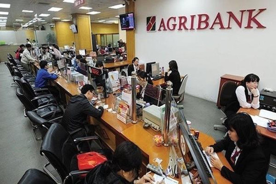 Phó Thủ tướng yêu cầu đẩy nhanh cổ phần hóa Agribank, Vicem, HUD