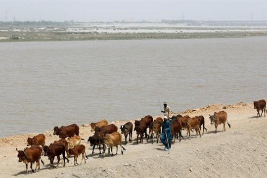 Ấn Độ sẽ nắn sông, cắt nguồn nước của Pakistan