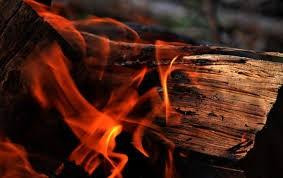 Mỹ tạo được loại vật liệu gỗ chịu lửa