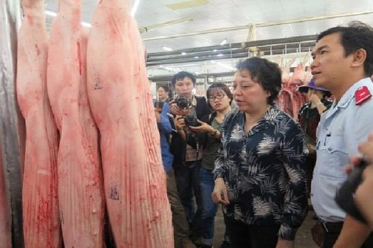 FAO khuyến nghị Việt Nam công bố dịch tả lợn châu Phi ở tình trạng khẩn quốc gia