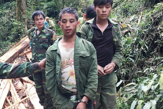 Bắt 2 người Lào vượt rừng sang Nghệ An khai thác gỗ trái phép