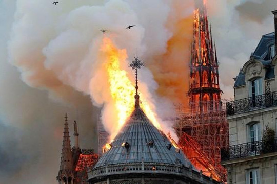 Sao Việt bày tỏ sự nuối tiếc khi nghe tin nhà thờ Đức Bà Paris chìm trong biển lửa