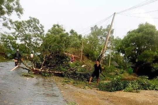 Lại xảy ra lốc xoáy ở Nghệ An làm tốc mái 50 nhà dân, một người bị thương