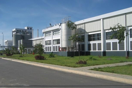 Quảng Ngãi thống nhất nâng công suất nhà máy bia Sài Gòn lên 145 triệu lít/năm