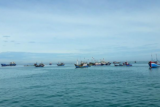 Quảng Ngãi: Tăng cường động viên ngư dân bám biển