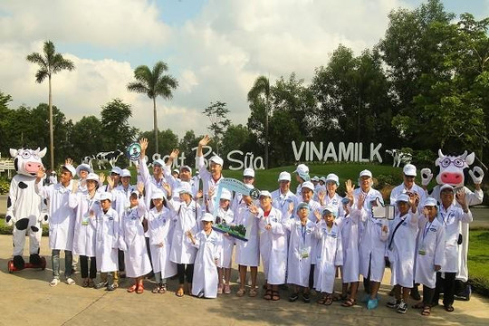 Tận mắt thấy những cô bò ở ‘Resort’ góp công vào ly sữa học đường
