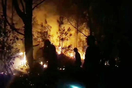 Nghệ An: Nghìn người trắng đêm chữa cháy rừng thông