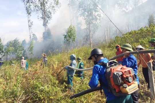 Nghệ An: Một phụ nữ tử vong vì ngạt khói khi chữa cháy rừng