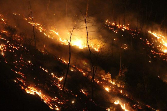Thêm một vụ cháy rừng gây náo loạn ở Hà Tĩnh