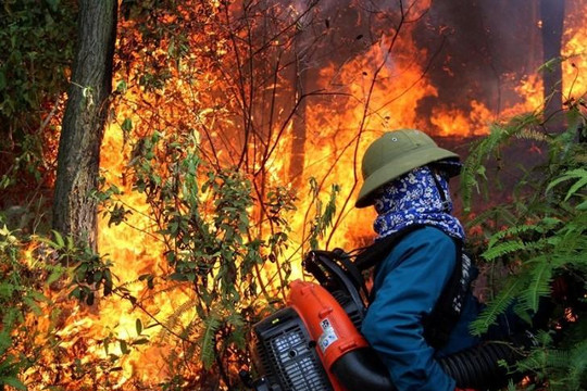 Cháy rừng ở miền Trung diễn biến phức tạp, chờ mưa vàng đến cứu