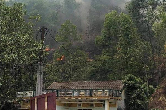 Cháy rừng đe dọa nhà dân ở Hà Tĩnh