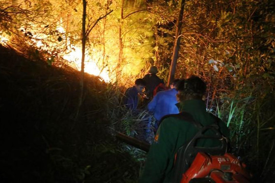Hơn 500 người dập đám cháy rừng ngùn ngụt trong đêm ở Hà Tĩnh