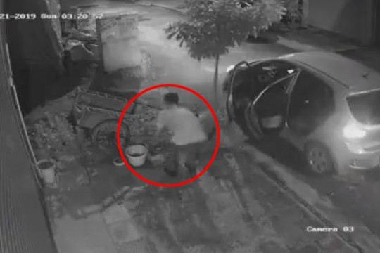 Người đàn ông đi ô tô trộm chậu mai trước nhà dân lúc rạng sáng