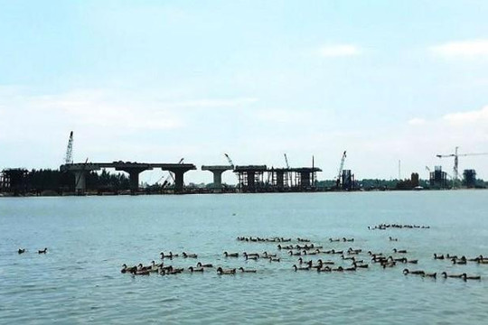 1500 tỷ làm đập dâng sông Trà Khúc: ĐTM có nhiều dấu hiệu gian dối