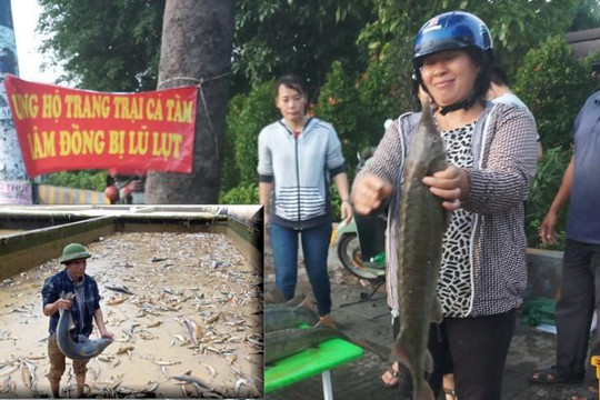 Người TP.HCM mua cá tầm giá rẻ ủng hộ chủ vựa ở Lâm Đồng mất hàng chục tỉ vì lũ