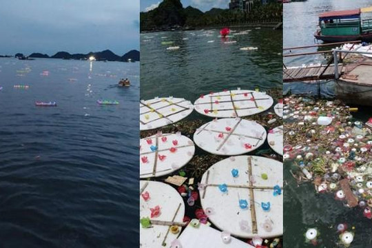 Thả 30.000 hoa đăng trôi trên biển Cát Bà: Báo hiếu hay hủy hoại môi trường?